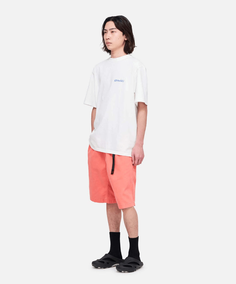 4549067